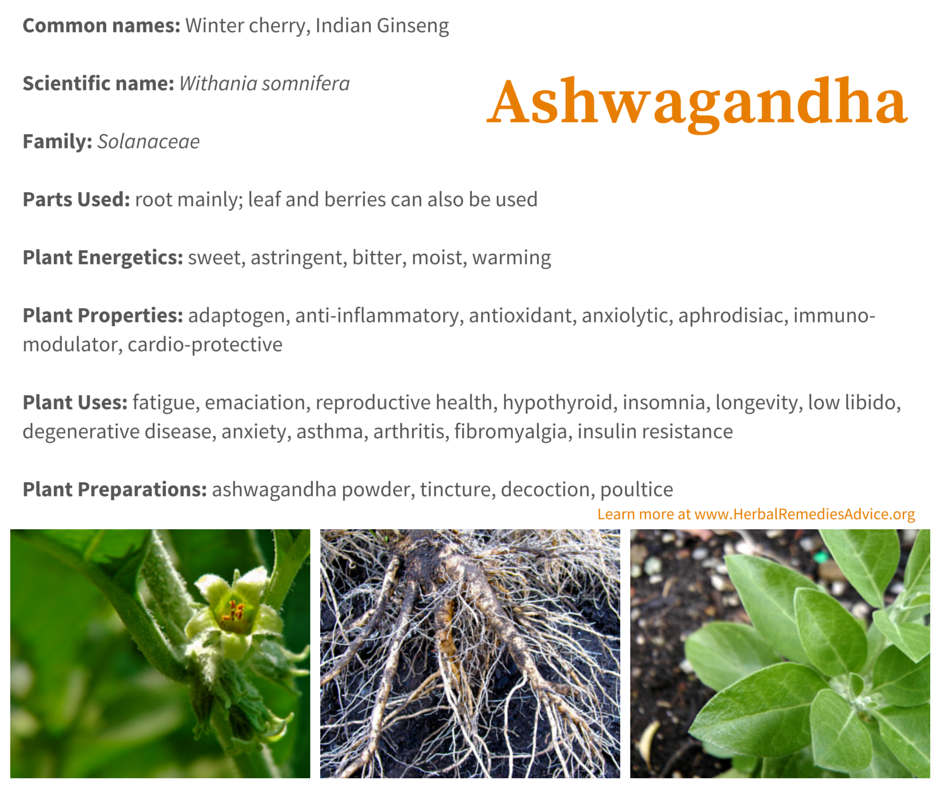 Ashwagandha