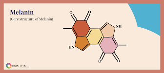 Melanin Production