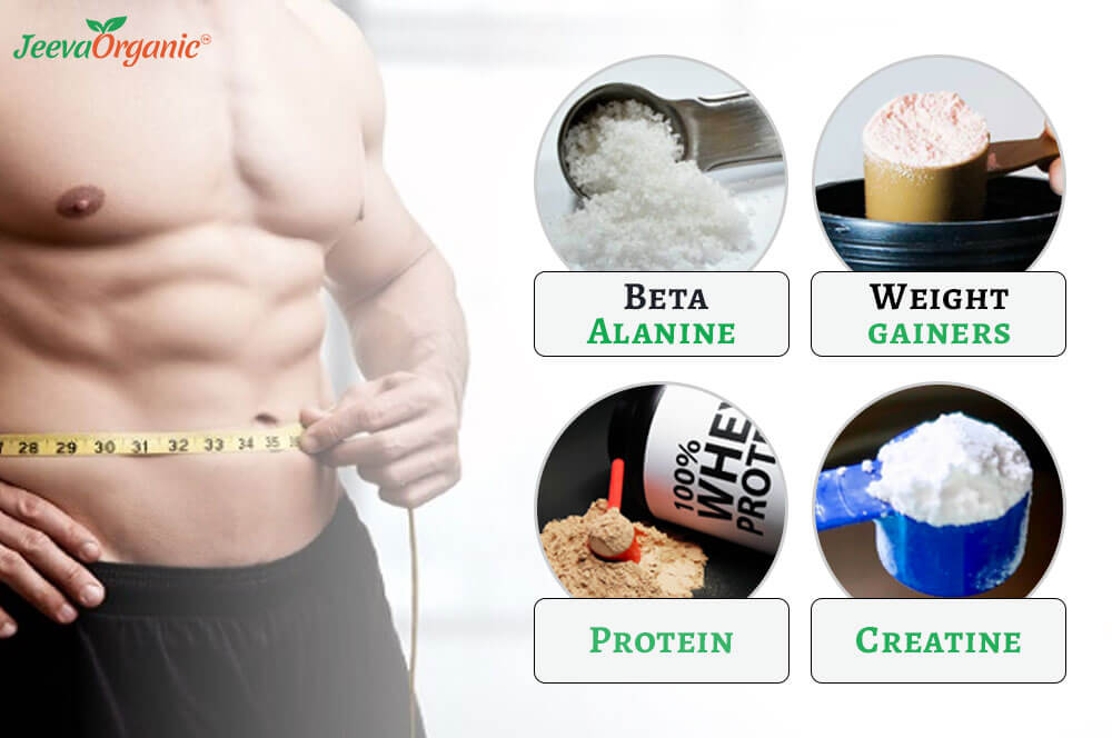 Protein & creatine