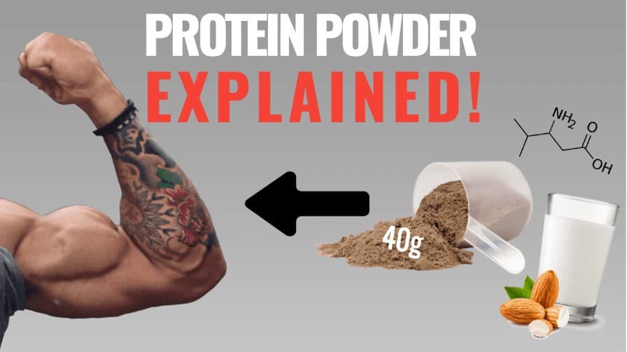 Protein weight gain supplements