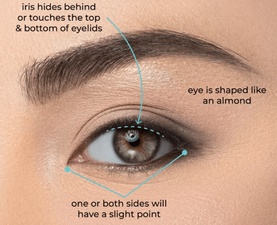 features of almond eye