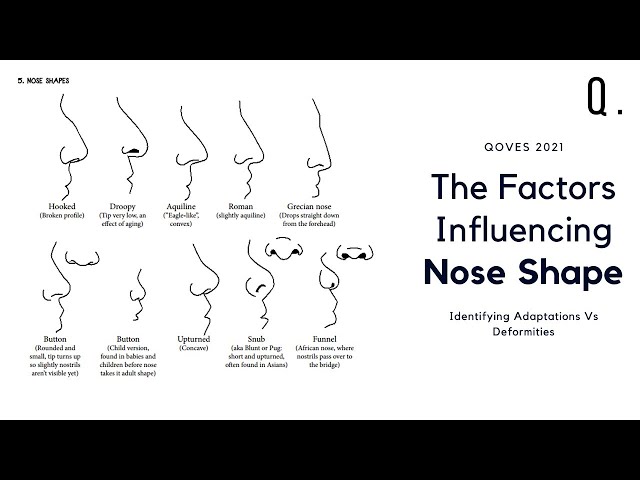 Nose types