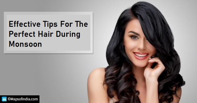 Tips to Get Bouncy, Shiny Hair