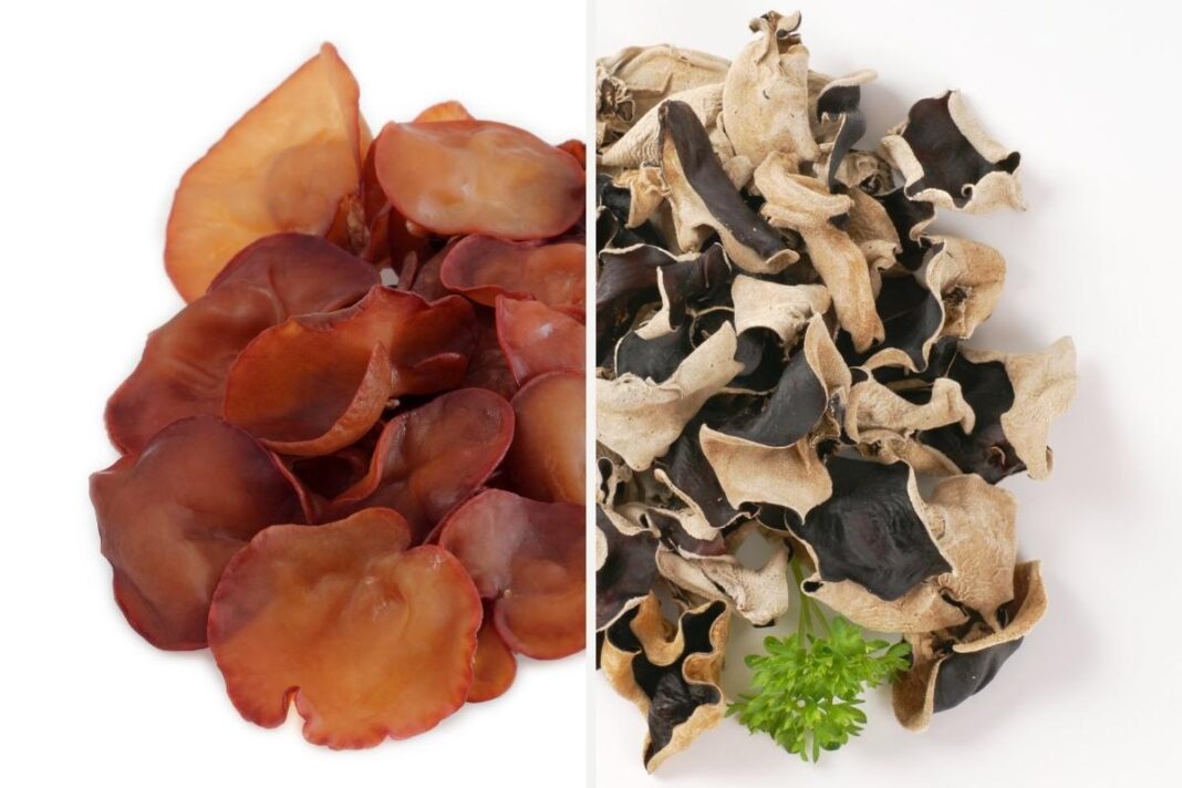 Wood Ear Mushroom